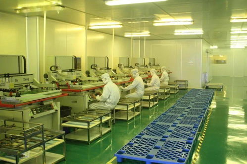 中共湛江市委十一屆十次全會工作報告要點(diǎn) 深化人力資源服務(wù)，規(guī)范職業(yè)中介活動，賦能高質(zhì)量發(fā)展